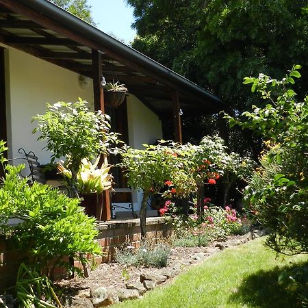 Wagners Cottages Swansea Bagian luar foto