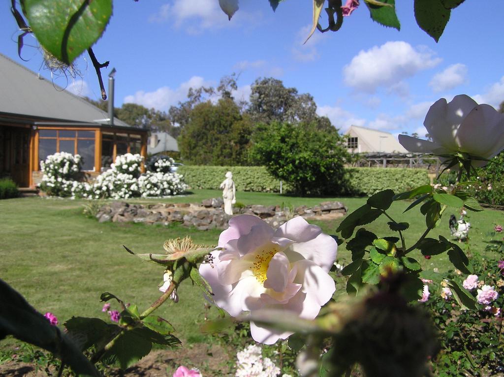 Wagners Cottages Swansea Bagian luar foto