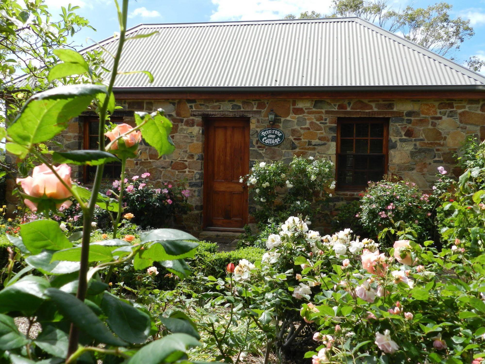 Wagners Cottages Swansea Bagian luar foto