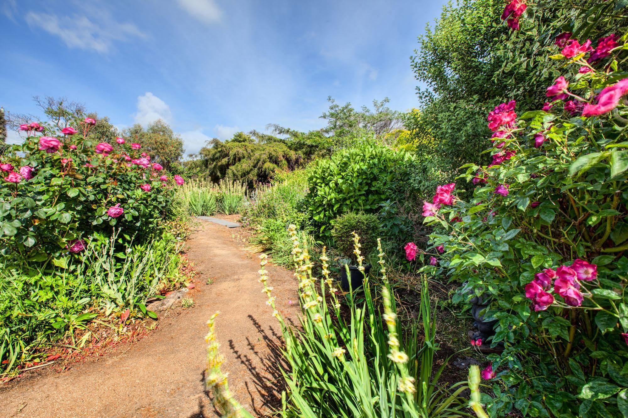 Wagners Cottages Swansea Bagian luar foto