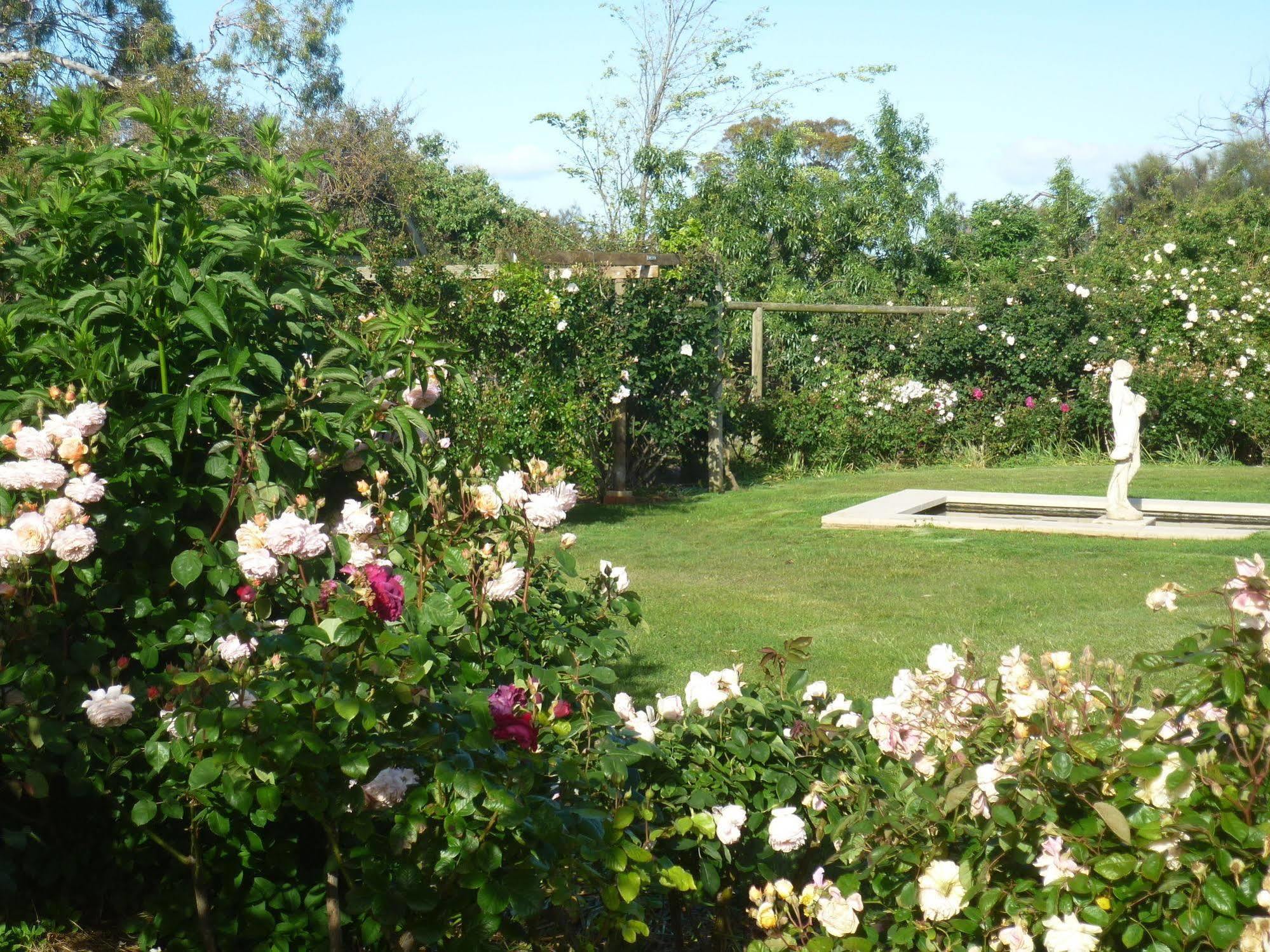 Wagners Cottages Swansea Bagian luar foto